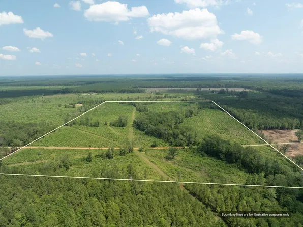 Off Frances Ln, Cotton Valley, LA 71018