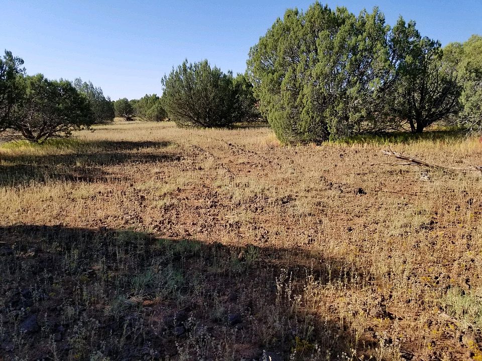 1st image of 8177 Mustang Ln