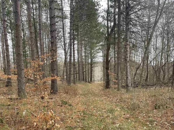 00 E. 6 Mile Rd, Luther, MI 49656