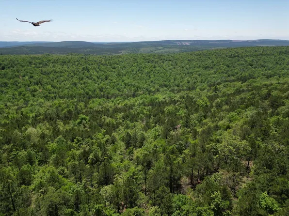 TRACT 40 Ridge Rd, Talihina, OK 74571