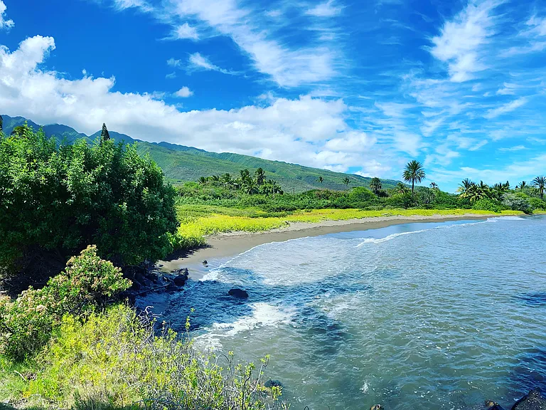7146 Kamehameha V Hwy #C112 — Photo 19