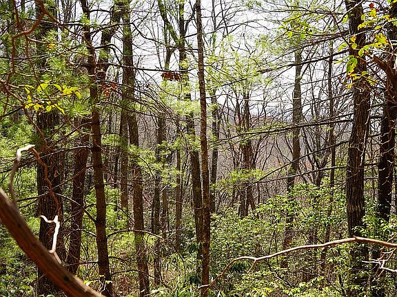 5th image of LOTS Off Rd #106