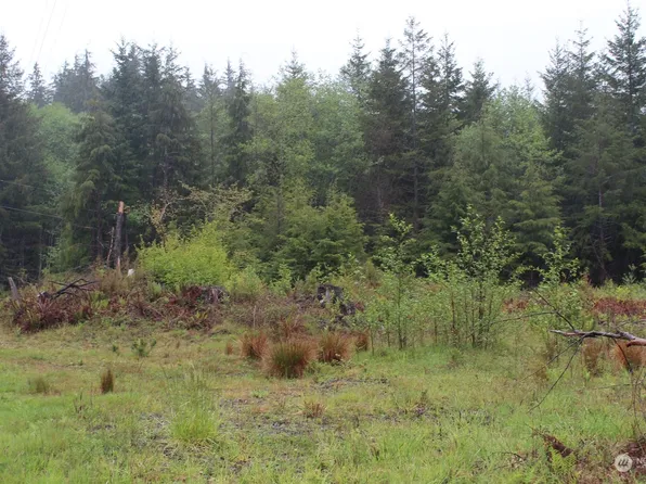 0 Misty Creek Lane, Port Angeles, WA 98305