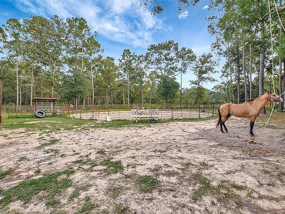 3rd image of 10677 Fm 2432 Rd