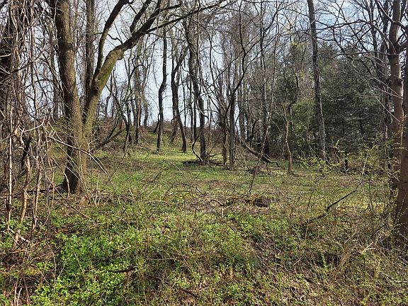 4th image of TBD Birch Lane