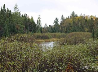 Tbd Lukes Rd, Amasa, MI 49903