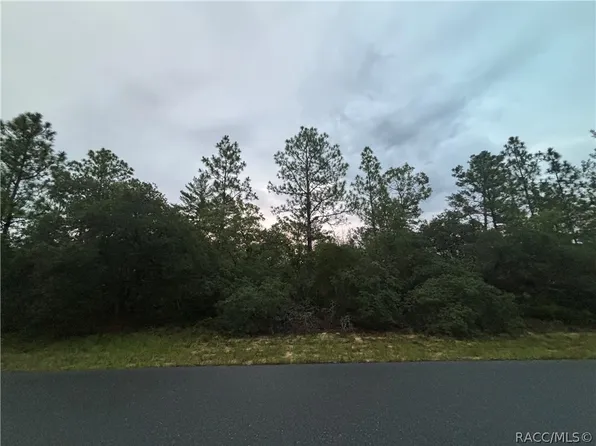 4043 & 4049 W Abeline Dr, Dunnellon, FL 34433