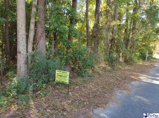 W 1st Ave, Pamplico, SC 29583