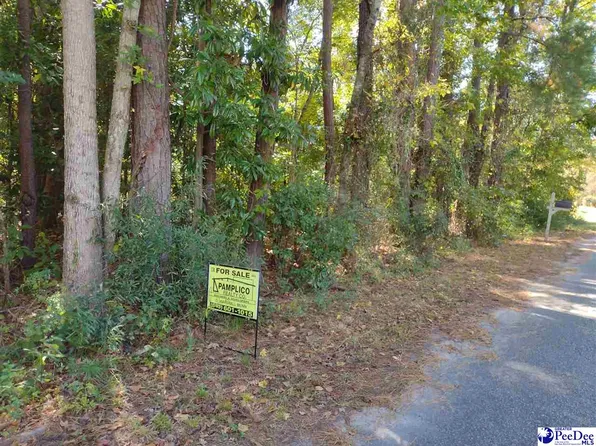 W 1st Ave, Pamplico, SC 29583