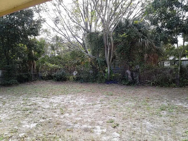 Back Yard