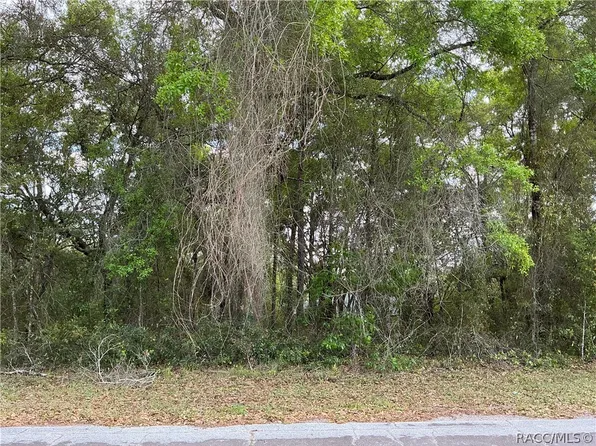 1656 W Beach Plum Dr, Citrus Springs, FL 34434