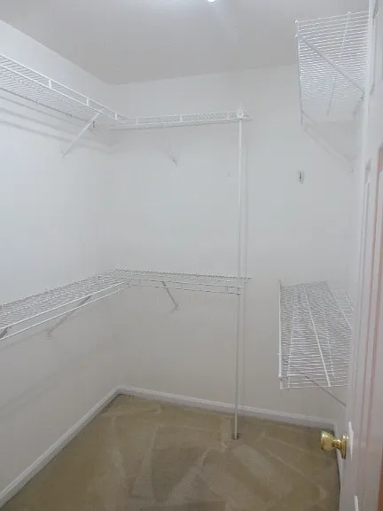 7531 Double Springs Ct — Photo 10