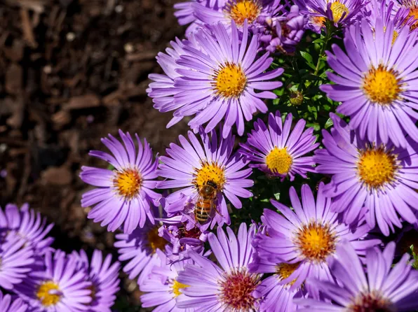 The Villas At Portage Creek