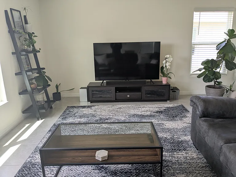 view from couch