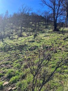 Lockhaven Dr, Klamath River, CA, 96050