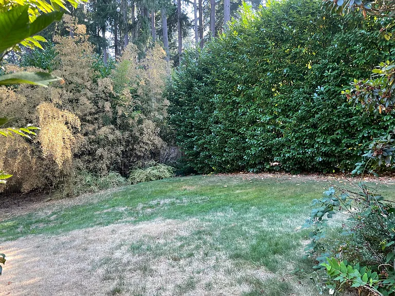 1614 152nd Ave SE — Photo 42