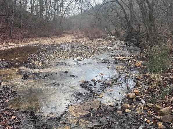 1007 County Road 166, Drury, MO 65638