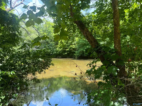 LOT 34 County Road 336, Piedmont, AL 36272