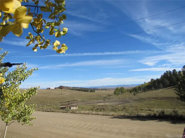 Lot 699 Campfire Road LOT 699, Hartsel, CO 80449