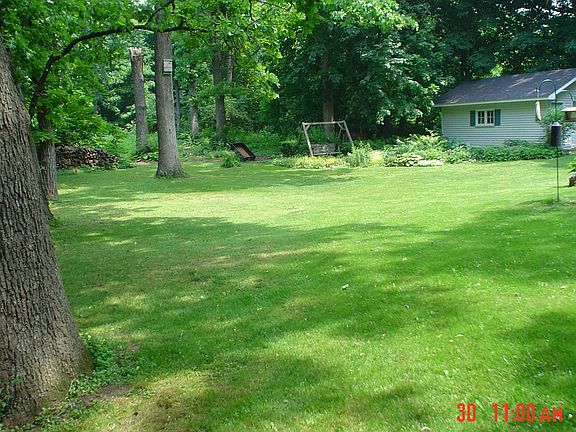 View of the backyard