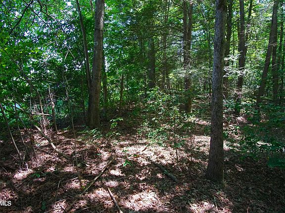3rd image of Lakewood Dr