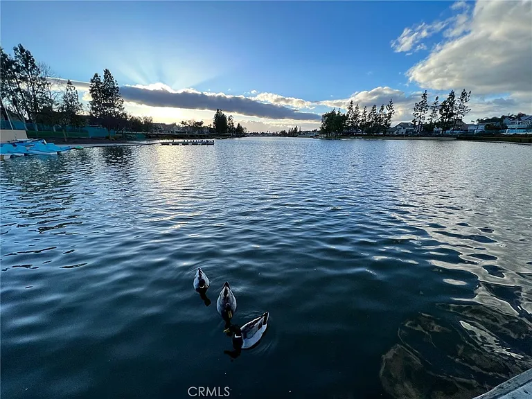 30665 Spring Deep Ter — Photo 42