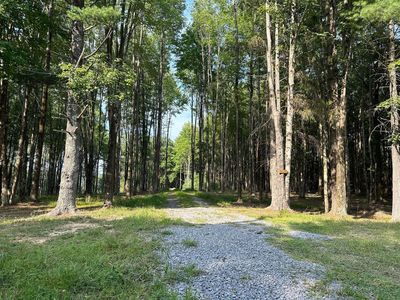 408 Hickory Grove Church Rd, Mount Nebo, WV, 26679