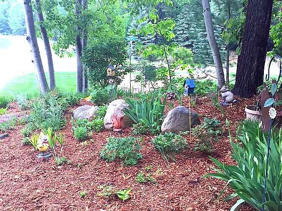 Front Yard Landscape