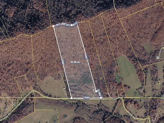 4th image of 238 Black Locust Rd