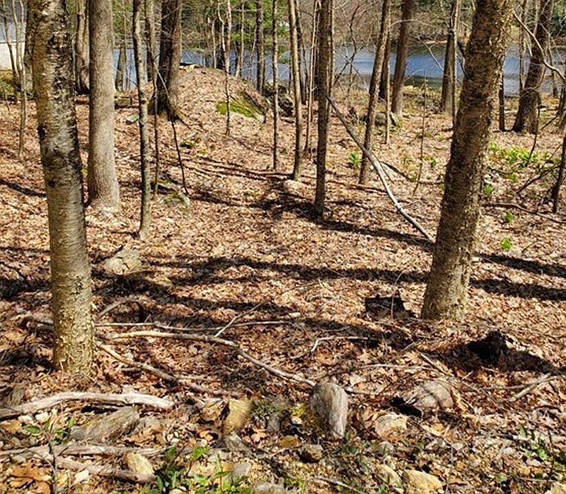 1st image of 169 Shoreline Dr