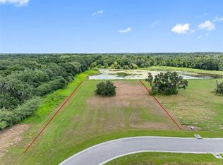 15306 Fishhawk Heights Run #18, Lithia, FL 33547