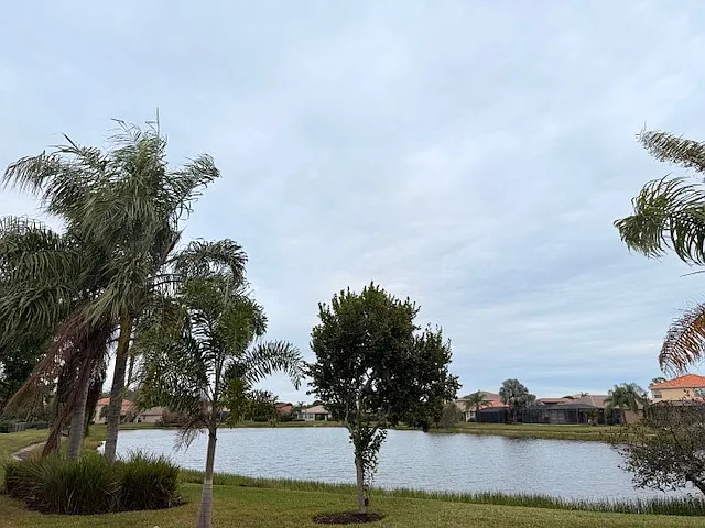 View from living room