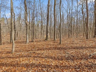 8307 Bear Paw Trl #106, Signal Mountain, TN, 37377