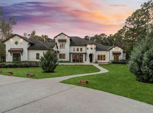 27374 Shady Hills Landing Ln, Spring, TX 77386