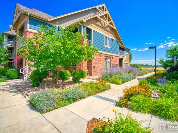 804 Summer Hawk Dr #6-203, Longmont, CO 80504