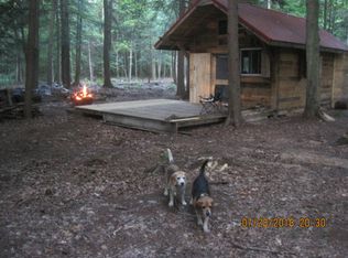 E Loop Rd, Hesperia, MI 49421