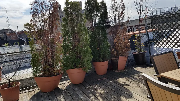 Rented by Chartwell Manhattan Realty | media 13