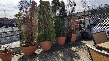 Rented by Chartwell Manhattan Realty