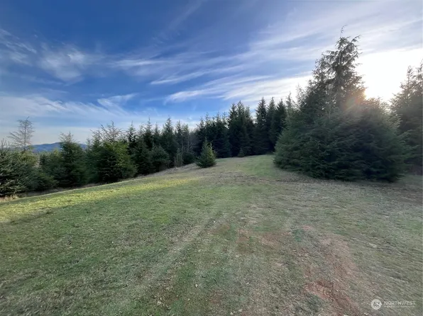 323 xx Parpala Road, Naselle, WA 98638