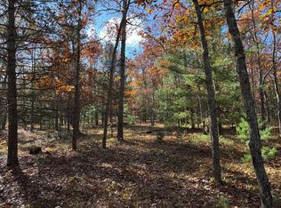 PARCEL 6 E County Line Rd, Free Soil, MI 49411