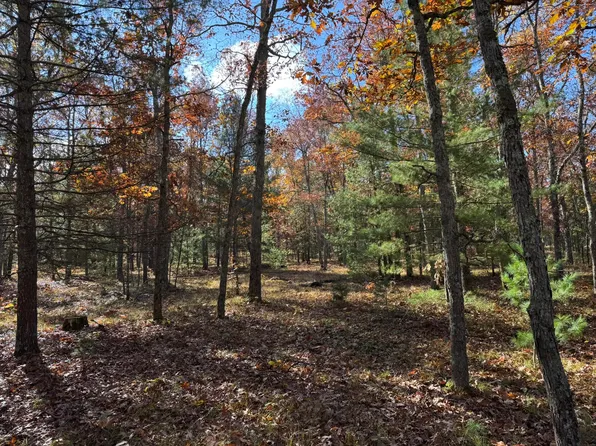 PARCEL 6 E County Line Rd, Free Soil, MI 49411