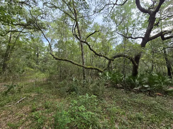 LOT 35 SE 229 LN, Old Town, FL 32680