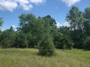 Healy Lake Rd, Kaleva, MI 49645