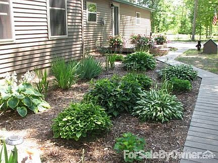 Lots of perennials for care-free gardens