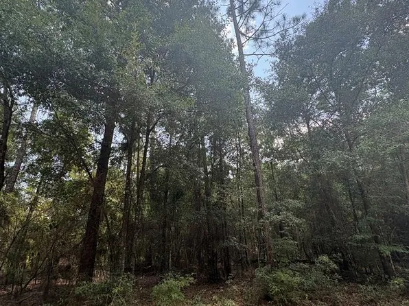0.49 Ac Spring Creek Dr, Donalsonville, GA 39845