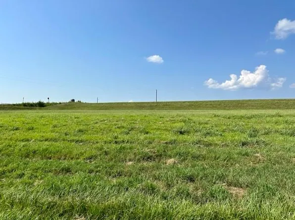 Diamond Rd, Pt Sulphur, LA 70083