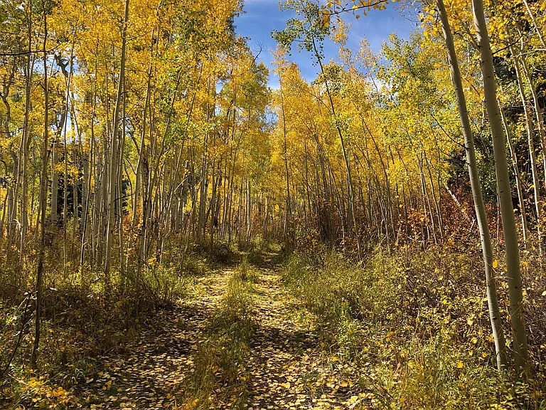 Endless Trails