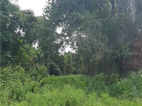 Lafayette Landings Dr, Deleon Springs, FL 32130