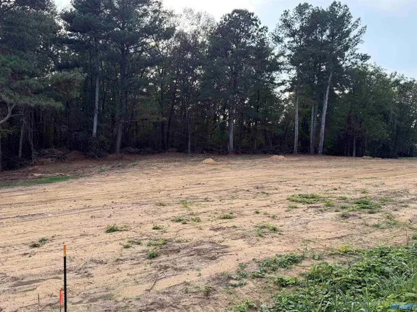 8747 Cox Gap Rd, Boaz, AL 35956