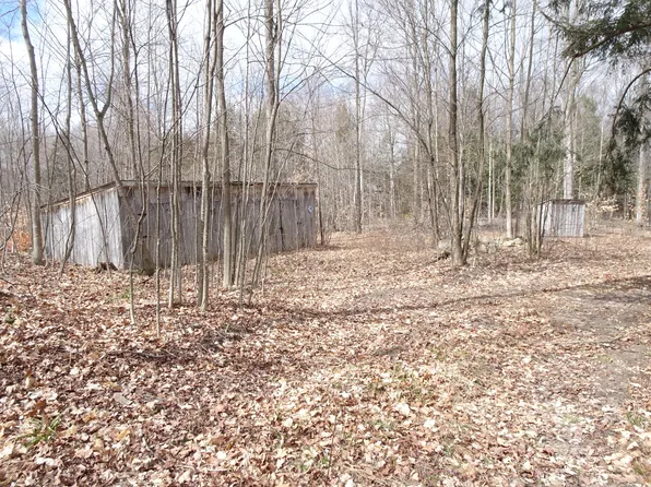 NULLA Chief Rd, Bear Lake, MI 49614